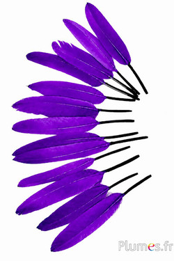 Gans - 10-15 cm - violett